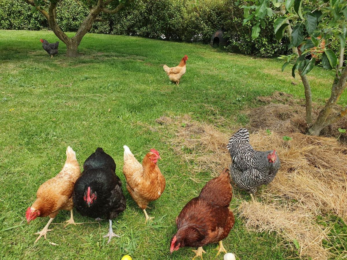 Supplejack Gardens Vila Upper Moutere Exterior foto